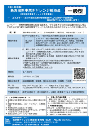 新事業チャレンジ補助金　チラシのサムネイル