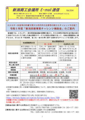 E234（会員大会削除版）のサムネイル